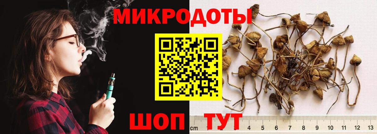 Галлюциногенные грибы Psilocybe Можга
